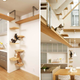 Illustration for article titled This Is the Perfect House If You Are a Cat